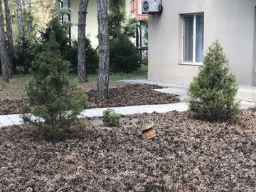 Фотографии Загородные дома Имение г. Коблево (Украина) №4 Фото Загородные дома Имение г. Коблево 4